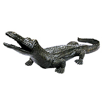 Garden Crocodile